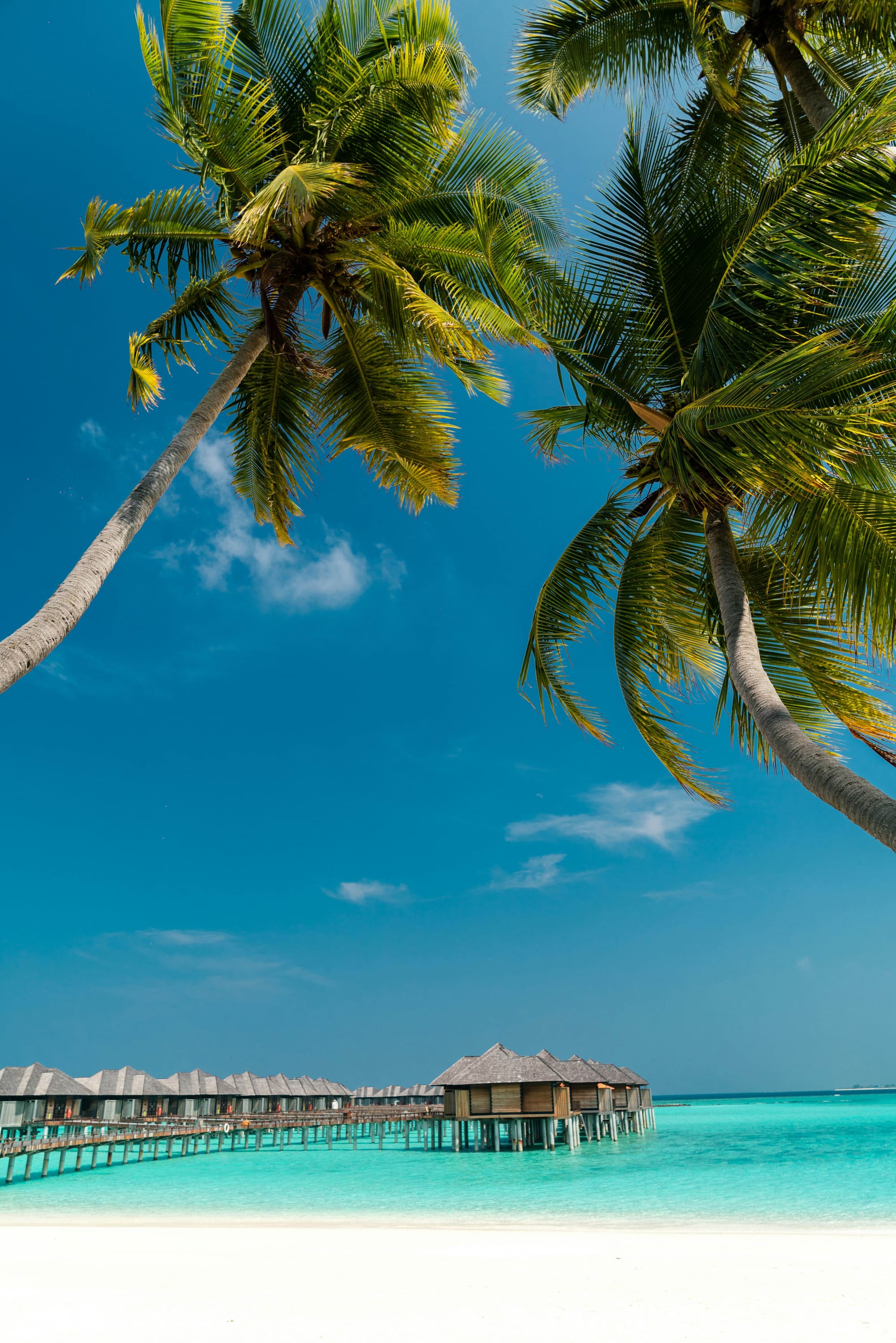 Overwater villas above a turquoise Maldivian lagoon